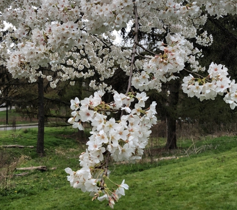 Washington Park Arboretum - Seattle, WA