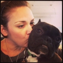 P.L.A.Y. Pet Lifestyle And You Inc - Pet Services