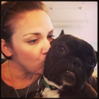 P.L.A.Y. Pet Lifestyle And You Inc