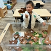 Chesterbrook Academy Preschool of Aldie gallery