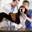 Meadows Animal Hospital - Veterinarians