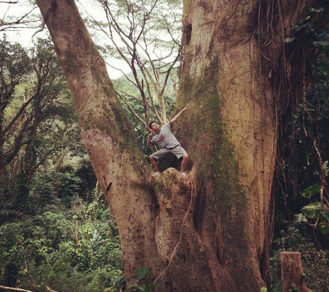 Manoa Valley District Park - Honolulu, HI