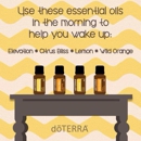 Beyond Essential - Essential Oils