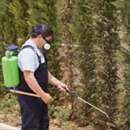 Central Exterminating Services - Pest Control Services