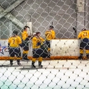 Jamestown Savings Bank Ice Arena - Skating Rinks