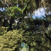 Kanapaha Botanical Gardens gallery