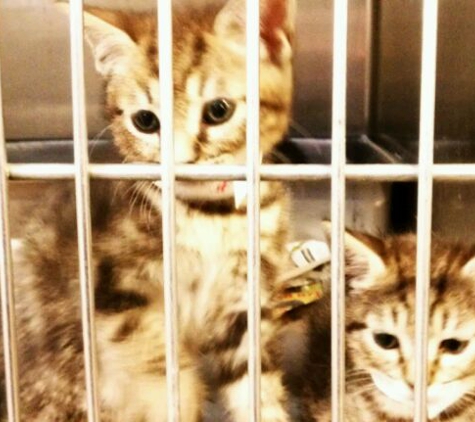 Women's Humane Society - Bensalem, PA