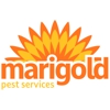 Marigold Pest Services gallery