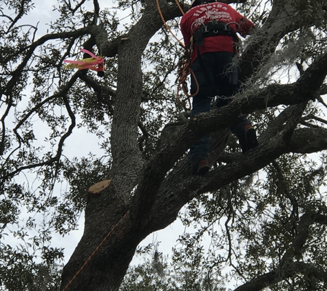 KDT Tree Service - Fern Park, FL