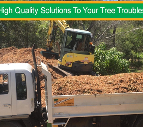 Active Tree Fellas - River Heads, QLD. High Quality Solutions To Your Tree Troubles