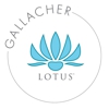 Lotus Gallacher gallery