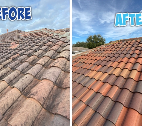 Washing Orlando. Roof Cleaning (Soft washing) in Bay Hill, FL