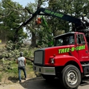 Tree-B-Gone - Tree Service