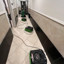 SERVPRO of Southwest Cobb - Mold Remediation