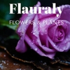 Flauraly Flowers and Plants gallery