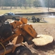 Juds Big Beaver Stump Grinding