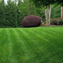 Emerald Green, Inc - Lawn Maintenance
