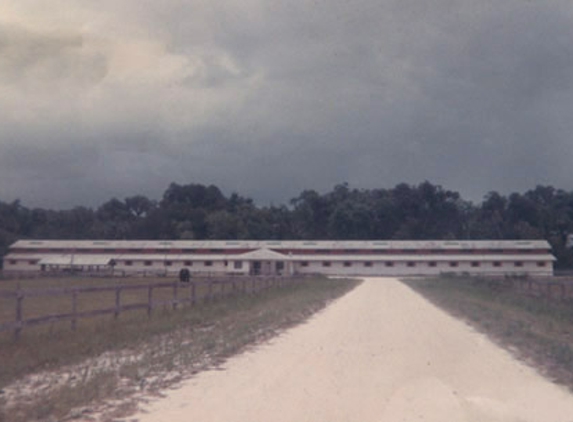 Port Orange Stables - Port Orange, FL