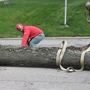 Boyd Brothers Tree Care