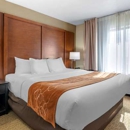 Comfort Suites Merrillville Near US 30 - Motels