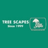 Tree Scapes gallery