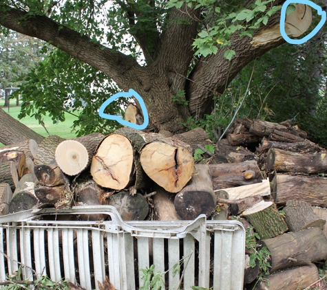 Wolf's Tree Service. They cut off large branches off low hanging box elder and stacked the wood nicely.  We were very pleased with the job they did.