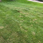 Making Solid Ground Lawn Care Inc