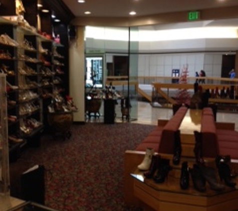 Designer Shoes - Dearborn, MI