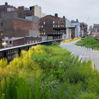 The High Line