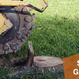 Arbator Pty Ltd - Port Fairy, VIC. Arbator offers stump grinding services to eliminate any visual evidence of the stump.