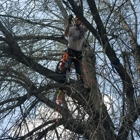 Apex Tree Service