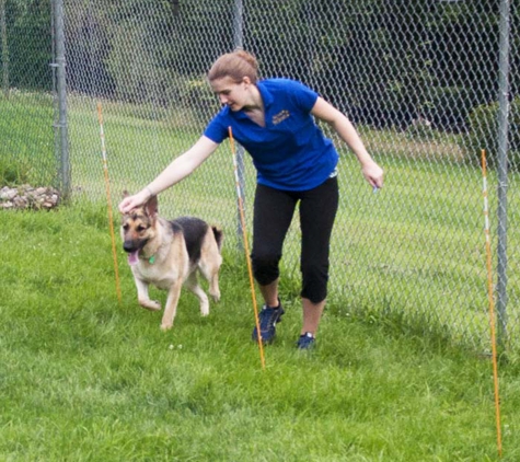 Pine Creek Kennels Pet Resort - Benton, PA