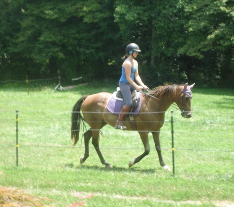 Cantrell Farm - Mills River, NC