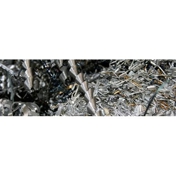 Gallery Image Number 7