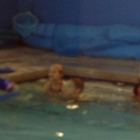 Aqua-Tots Swim School Plano