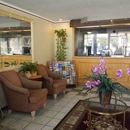 Lemon Tree Motel - Pomona - Motels