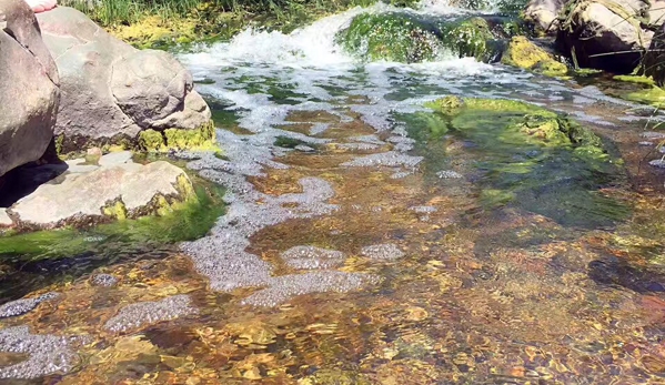 Los Peñasquitos Canyon Preserve - San Diego, CA