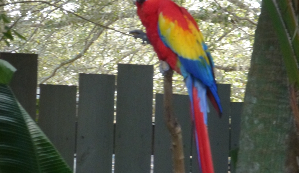 ZooTampa at Lowry Park. Lots of beautiful birds