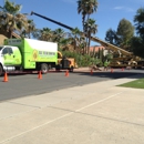 l Year Round Tree Service - Tree Service