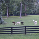 Feathers and Friends Alpaca Farm - Livestock Breeders
