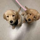 Nicholasville Road Animal Hospital - Veterinarians