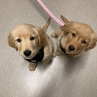 Nicholasville Road Animal Hospital