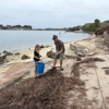 Agua Hedionda Lagoon Foundation gallery