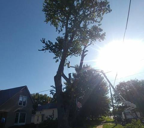 Wes' Tree Service - Oregon, IL