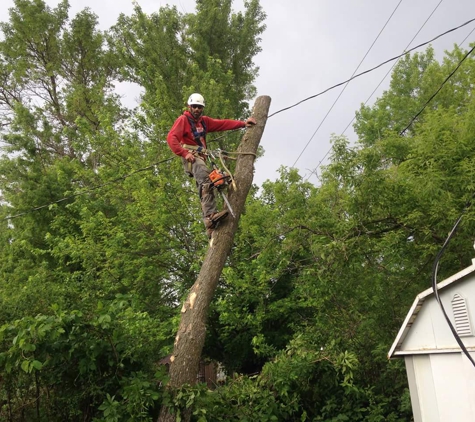 Mr. Canopy Tree Care - Fargo, ND