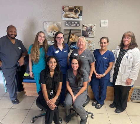 VCA Ormond Beach Animal Hospital - Ormond Beach, FL