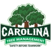 Carolina Tree Management gallery