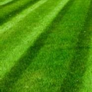 Naturalgreen Lawn Care LLC - Landscaping & Lawn Services