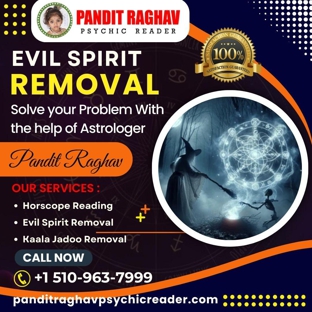 Pandit Raghav Psychic Reader Indian astrologer - Union City, CA