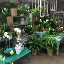 Amy's Florist - Artificial Flowers, Plants & Trees